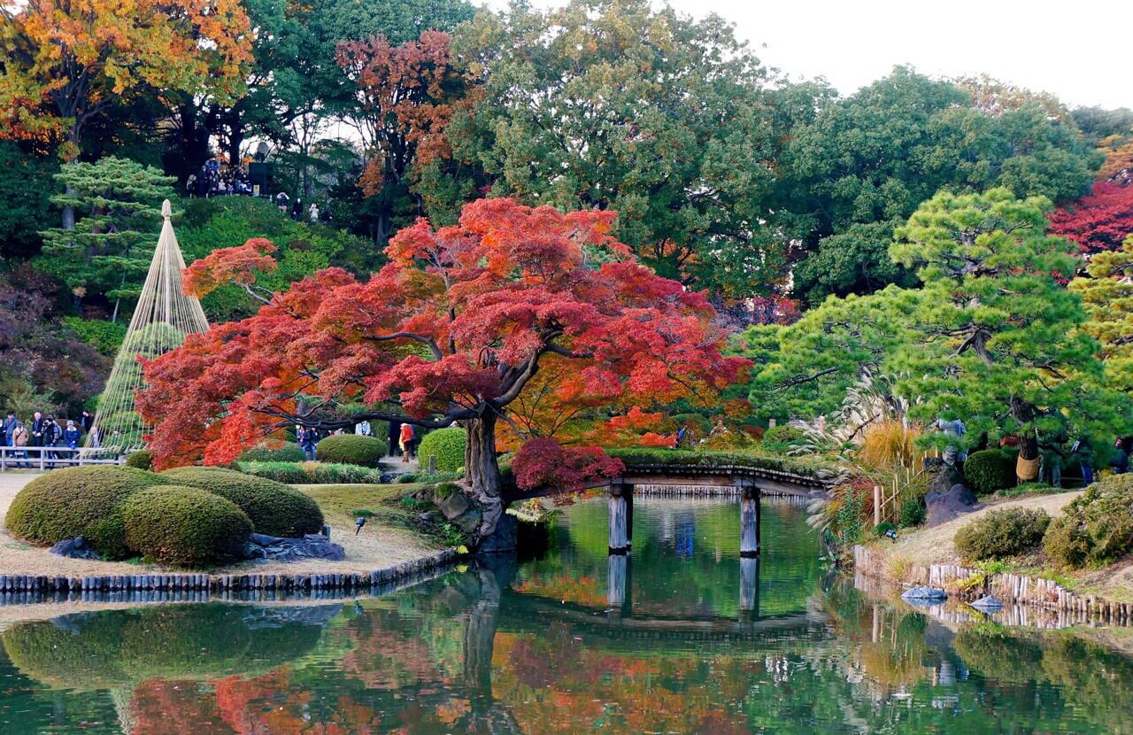 Vườn Rikugien (Tokyo)