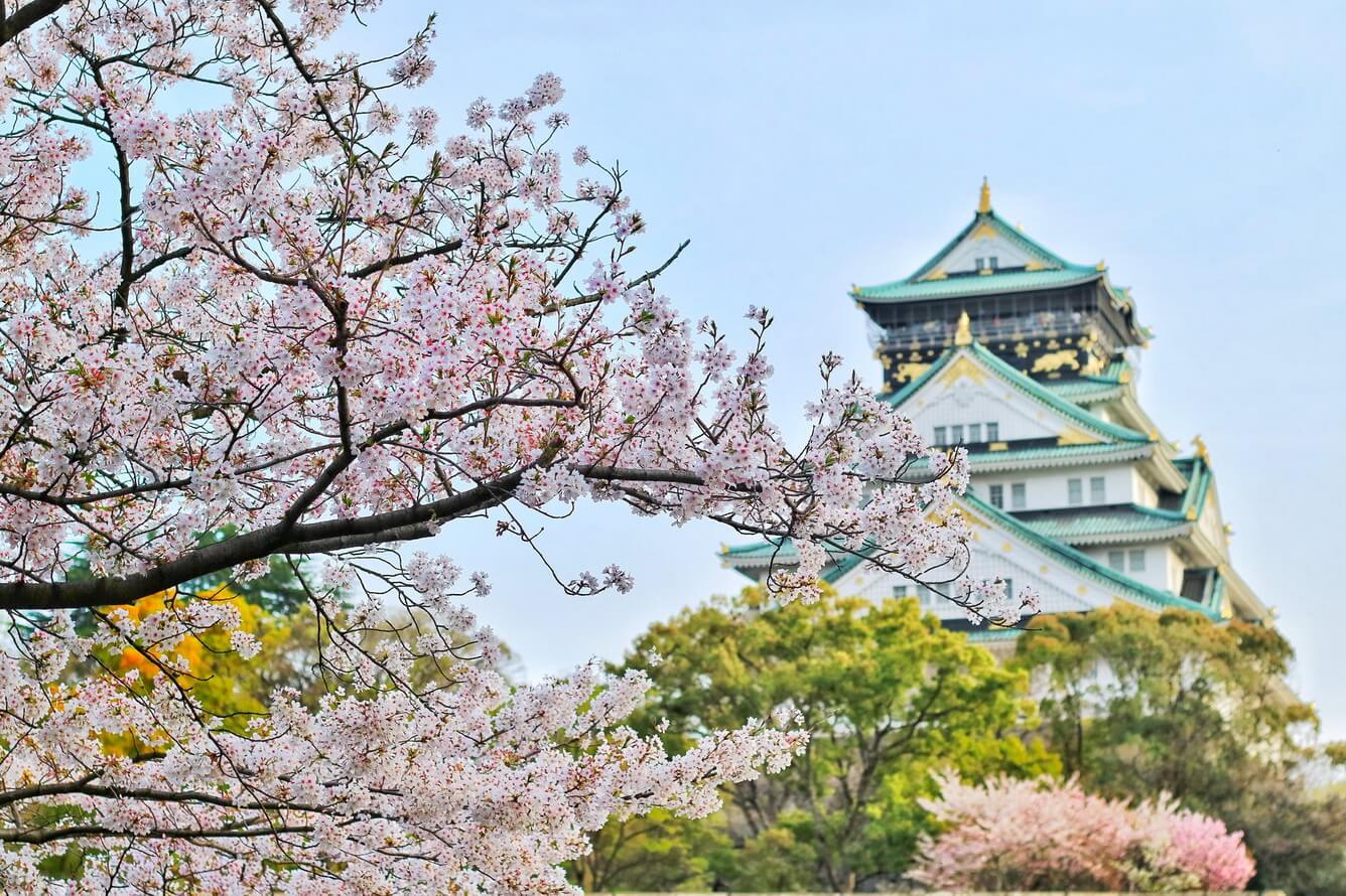 Trăm sắc hoa xuân Nhật Bản