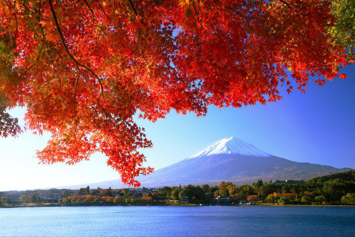 Hành trình tuyệt đẹp thưởng ngoạn trọn mùa thu Nhật Bản