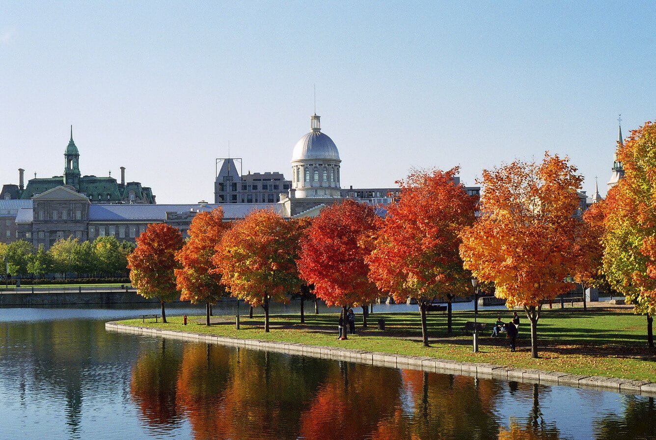 Montréal - khi mùa thu gõ cửa