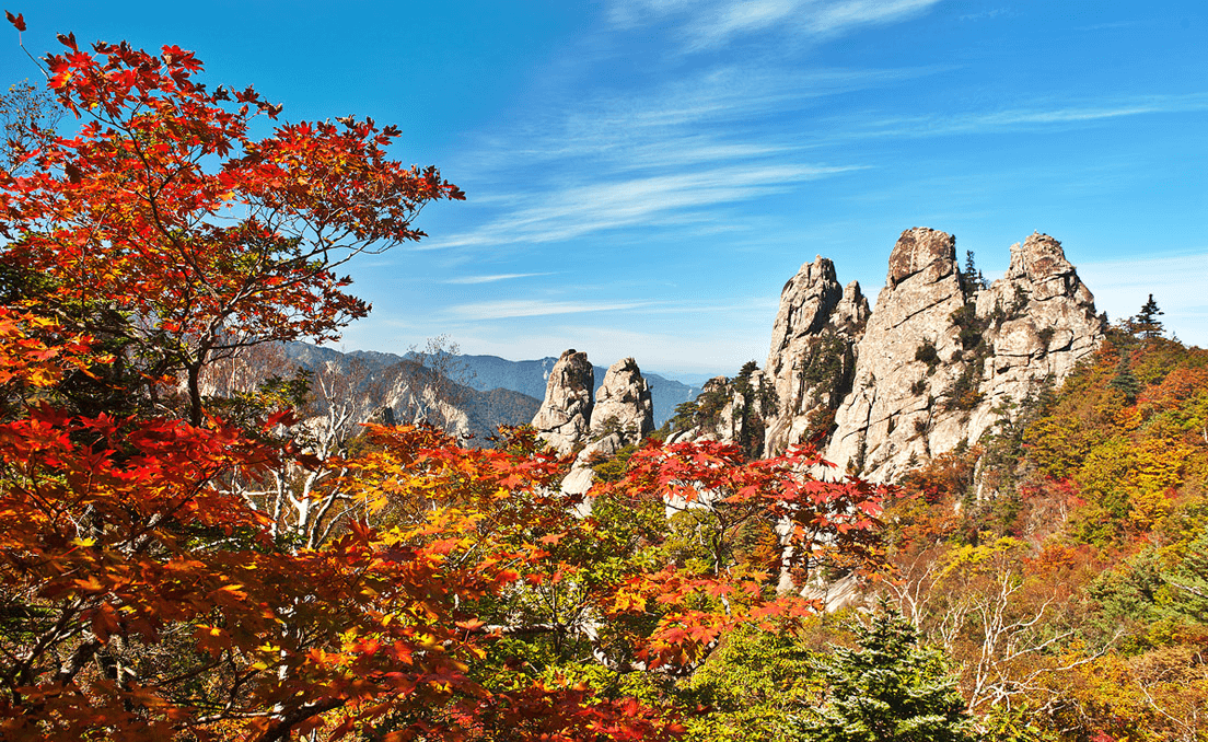 Ngỡ ngàng mùa thu tuyệt đẹp ở núi Seorak - kỳ quan thiên nhiên của Hàn Quốc