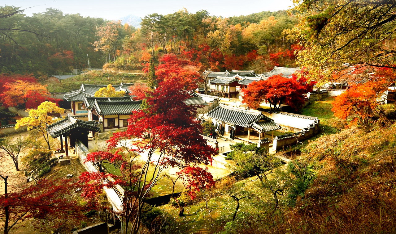 Vẻ đẹp Hàn Quốc tỏa sáng vào thu