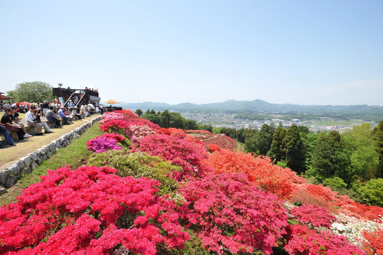 Mùa thu hút đông đảo khách du lịch nước ngoài vào Nhật Bản đã đến