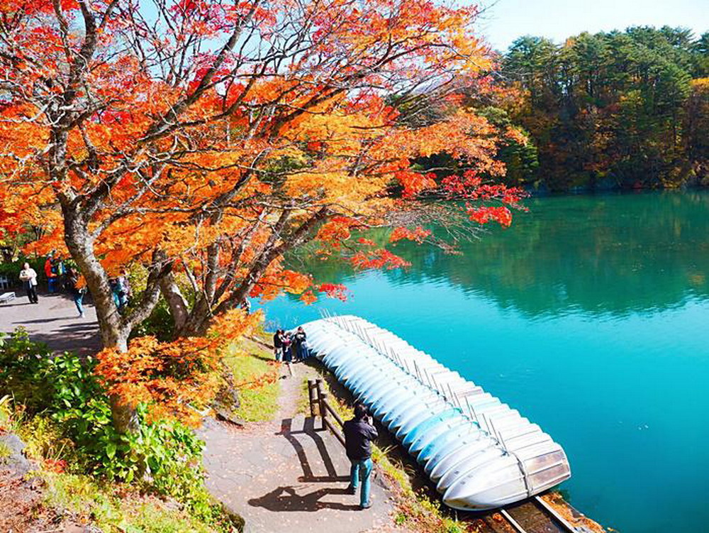 Hành trình tuyệt đẹp thưởng ngoạn trọn mùa thu Nhật Bản