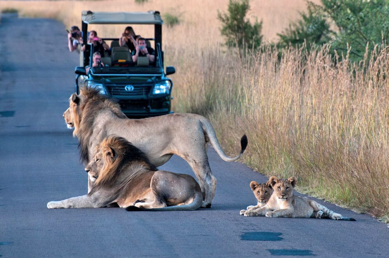 4. Đến Nam Phi “săn ảnh” muôn thú