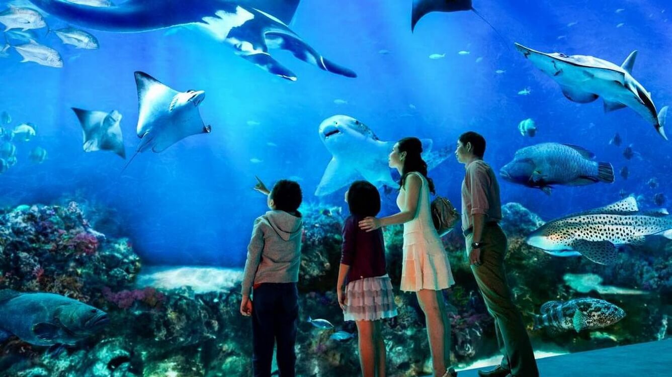 Singapore - Sea Aquariums và Garden by the Bay