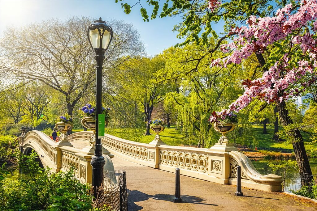 Central Park (Công viên trung tâm)