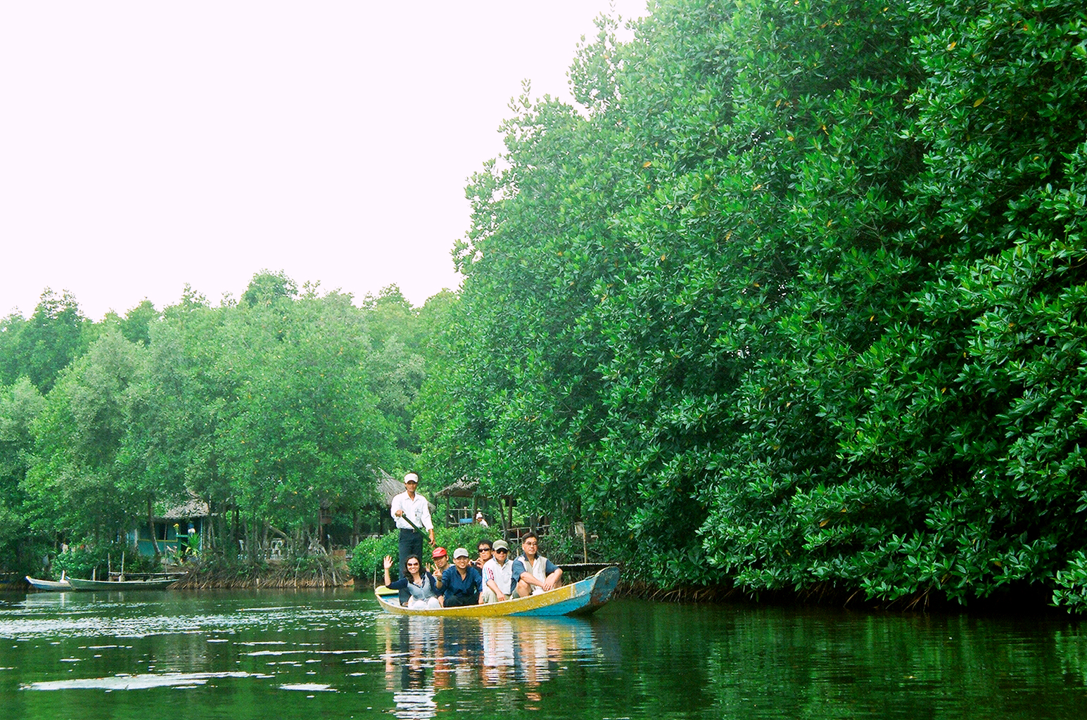5. Can Gio Mangrove Forest
