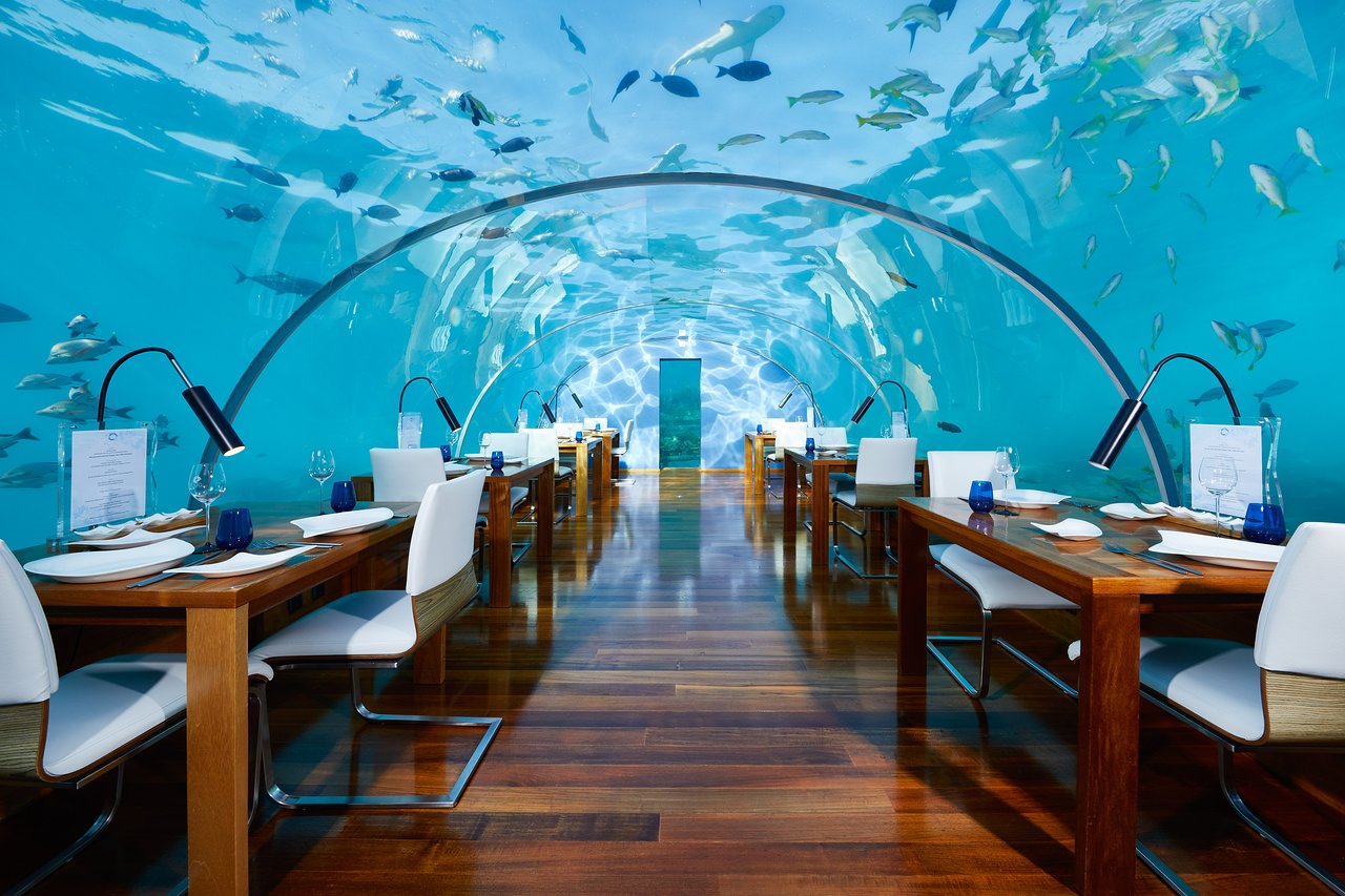 Ithaa Undersea Restaurant, Conrad Maldives Rangali Island