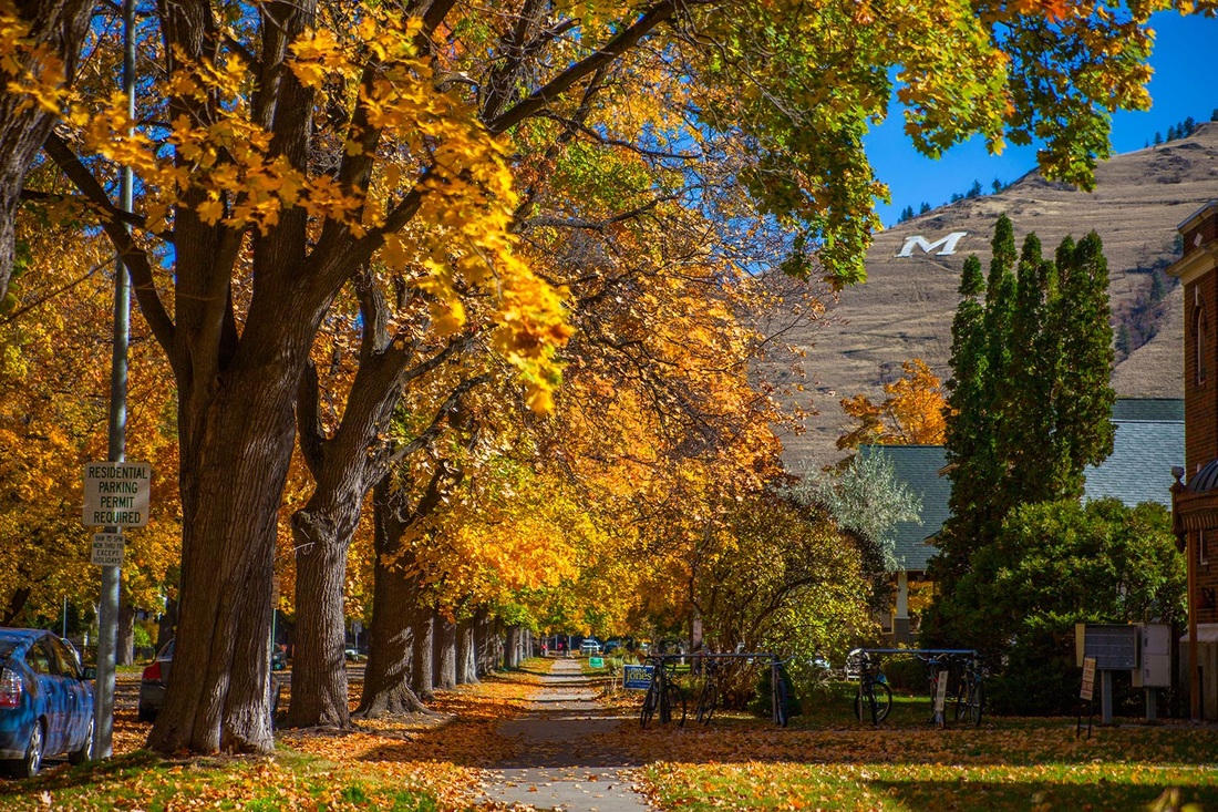 Chiêm ngưỡng vẻ đẹp của Mỹ - Canada bước vào mùa thu