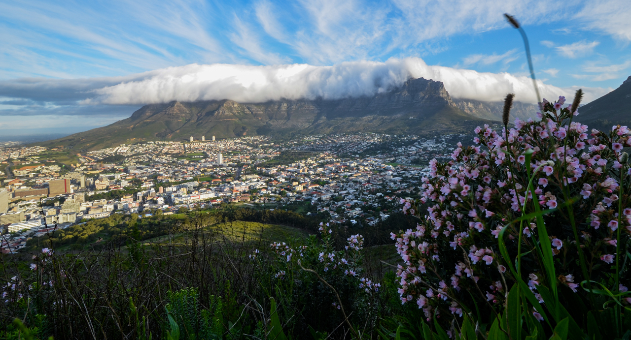 Hike up Table Mountain with a private guide