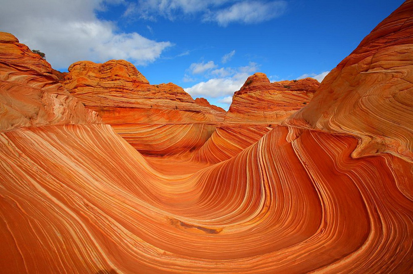 1. Sa thạch The Wave, Arizona, Mỹ