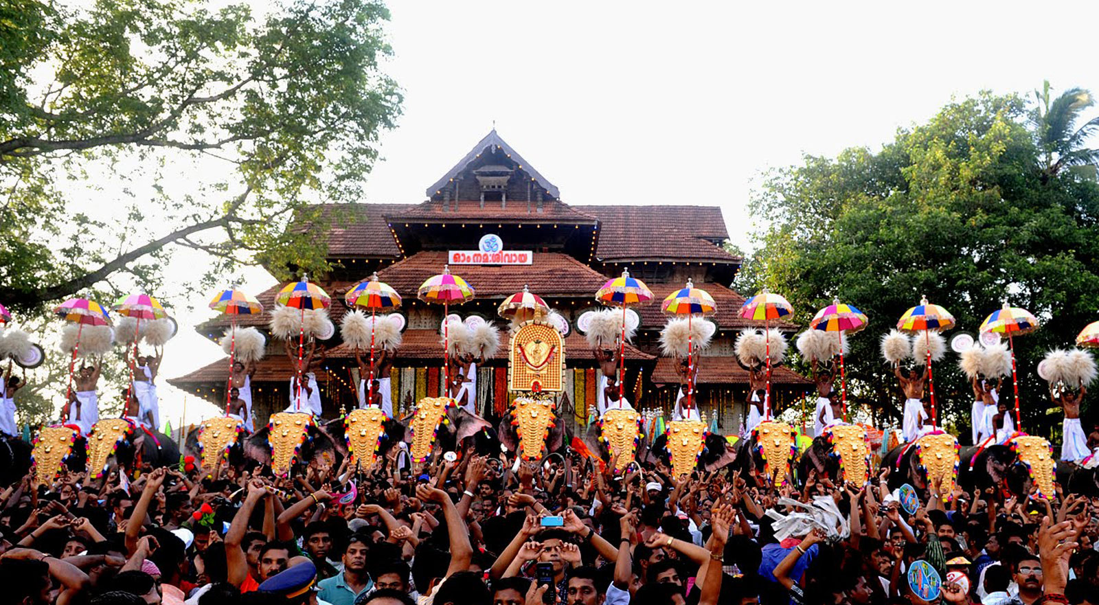 8. Thrissur Pooram Elephant Festival