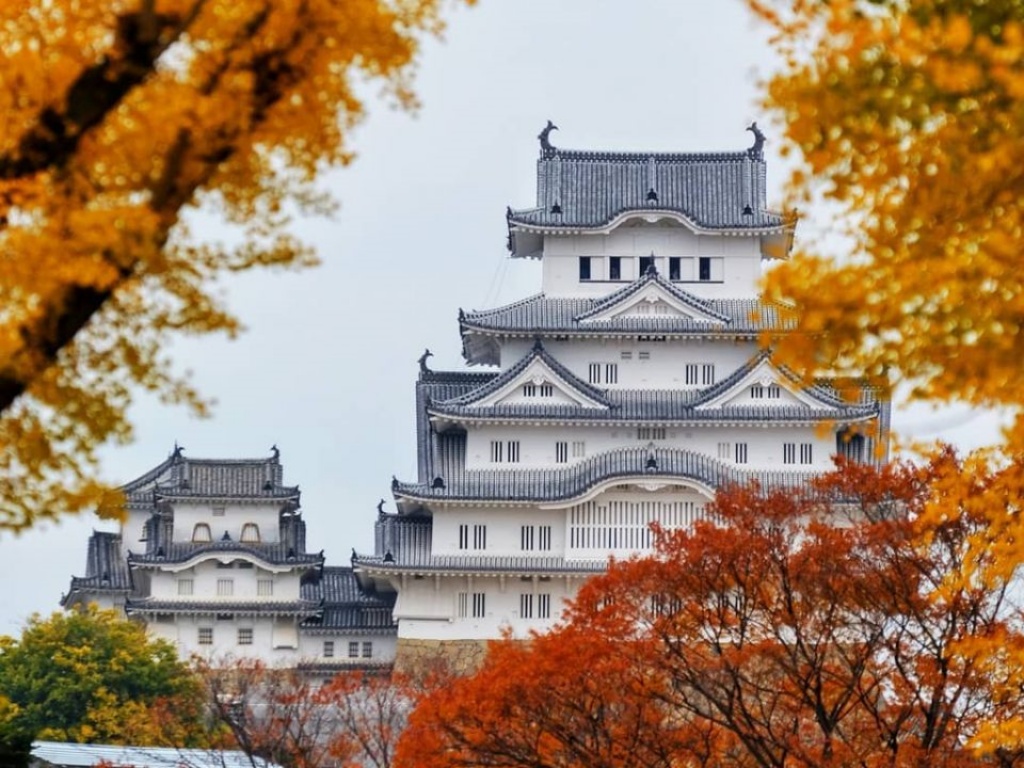 Du lịch mùa thu Nhật Bản - Trải nghiệm ngắm hoa anh đào có một không hai