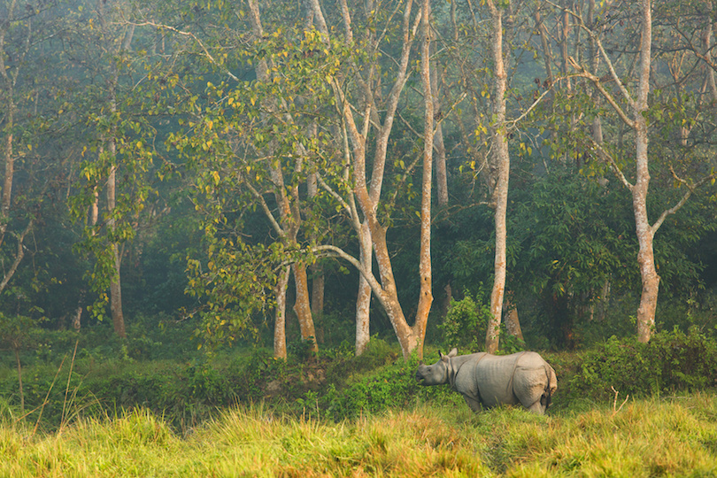 6. Chitwan National Park