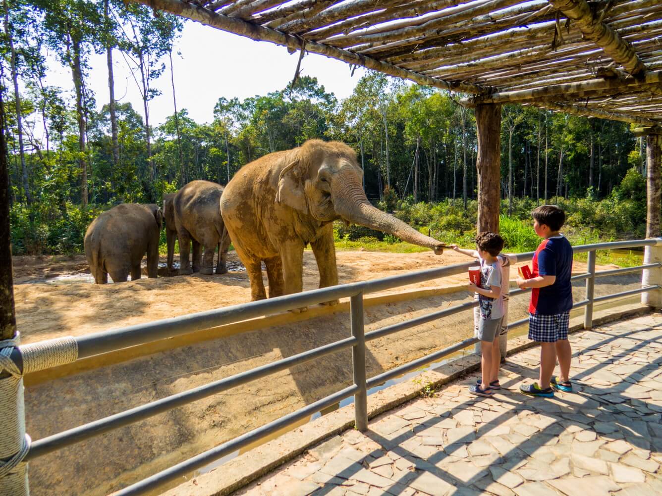 Nghỉ dưỡng đẳng cấp tại VinOasis Phú Quốc 5*, thỏa sức vui chơi tại Vinwonder và vườn thú Safari