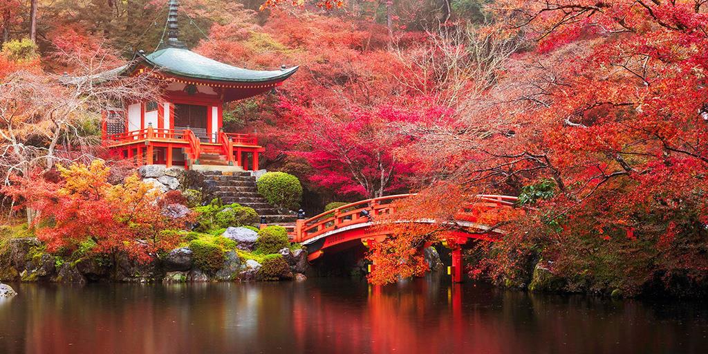 Kinh nghiệm du lịch Nhật Bản mới nhất năm 2022 - Ngày trở lại