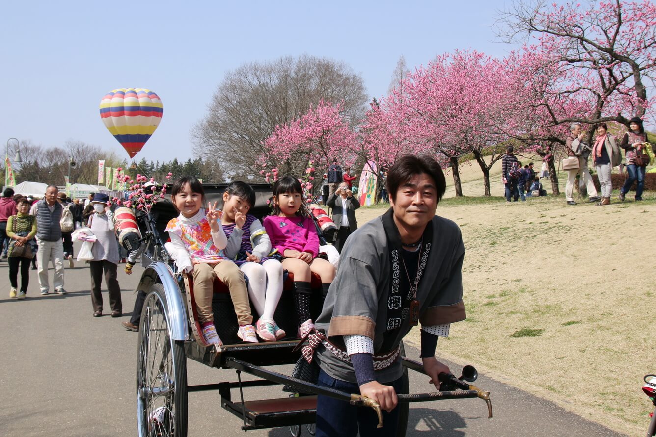 Du lịch Ibaraki mùa xuân với hoa Mơ và các lễ hội