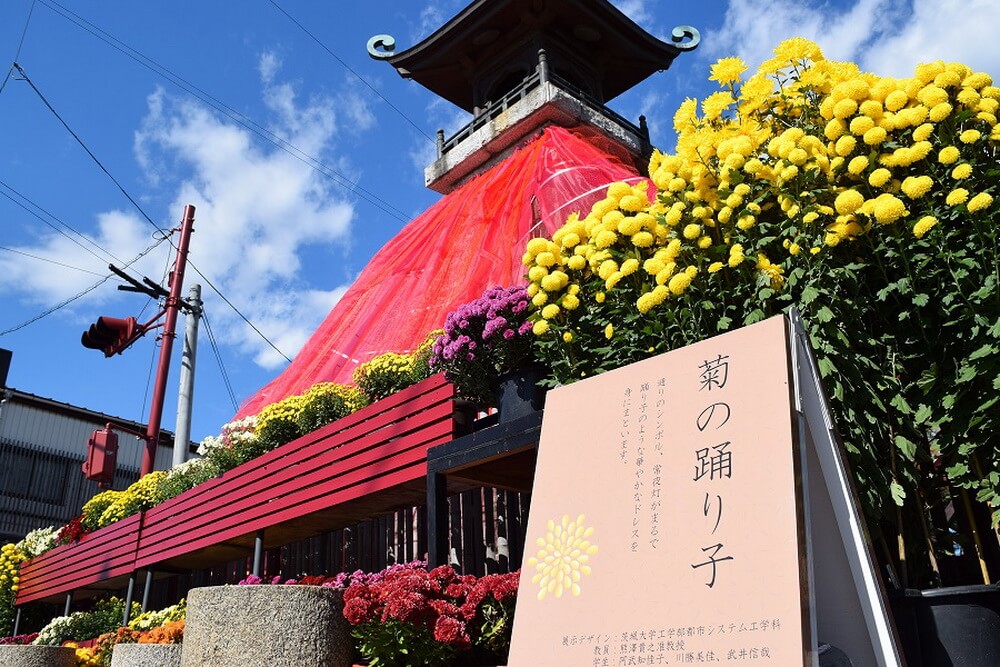 Lễ hội hoa cúc Kasama