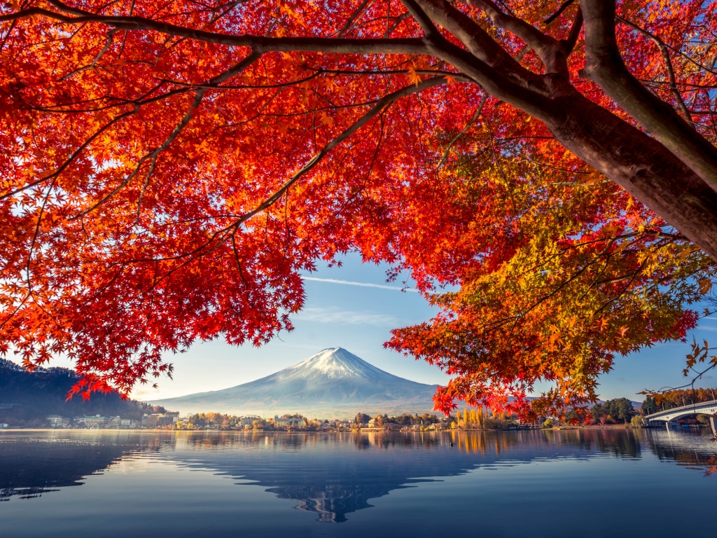 Tour Nhật Bản - Khám phá lễ hội mùa thu Fuji Kawaguchiko độc đáo xứ mặt trời mọc