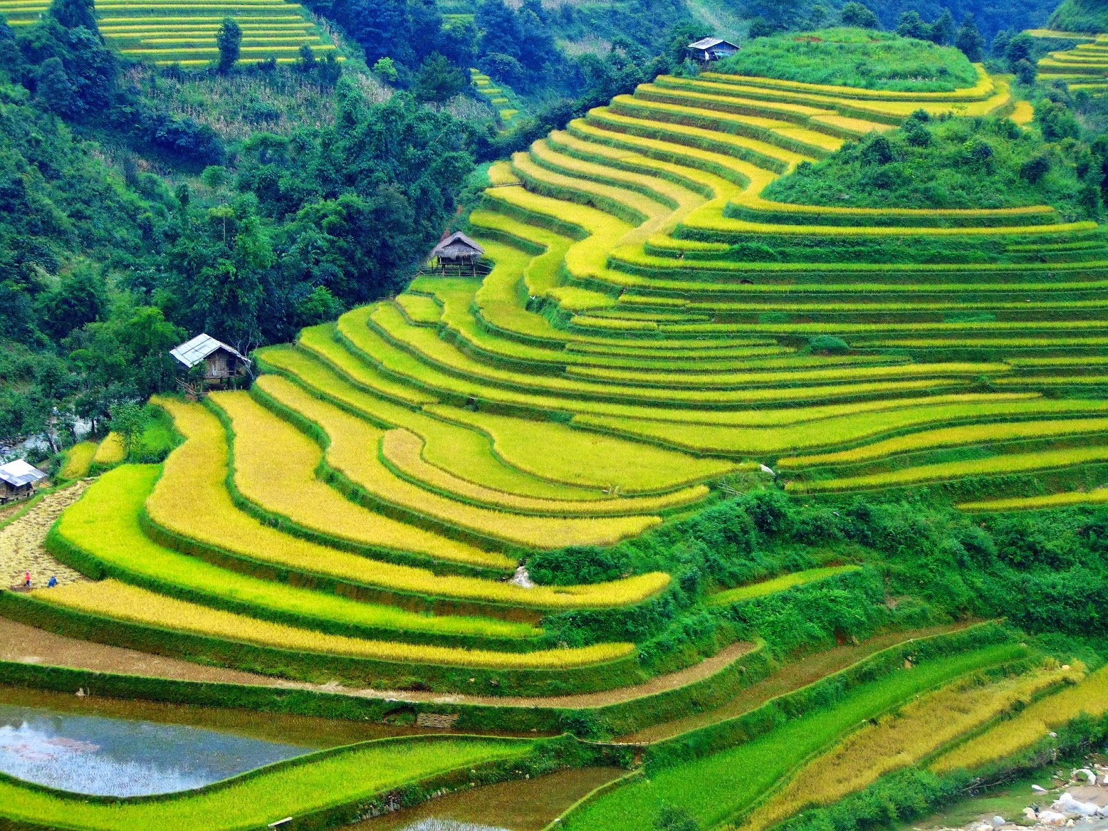 Visit other beautiful terraced fields
