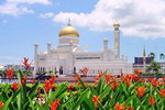 Brunei appoints marketing representatives