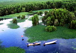 Cà Mau: Đầu tư 20 tỷ đồng phát triển du lịch Vườn quốc gia U Minh Hạ.
