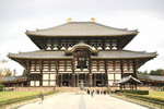 Cố đô Nara - niềm kiêu hãnh của xứ Hoa anh đào