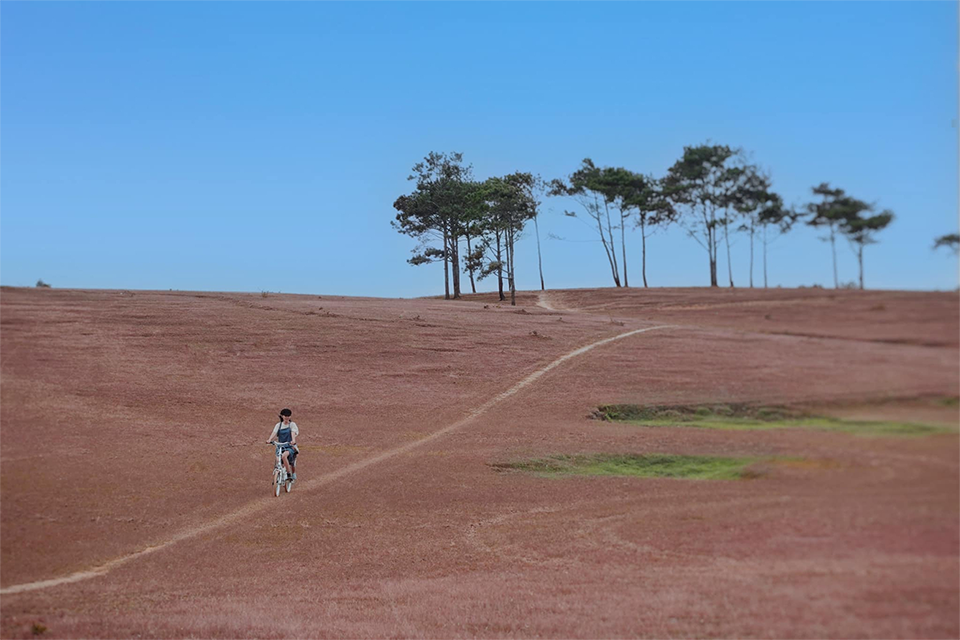 Du lịch Đà Lạt mùa thu: Top 4 cảnh đẹp khiến bạn chỉ muốn "ở mãi không về"