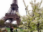 Pháp: Khách nội địa cứu ngành du lịch