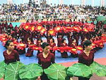 Bế mạc Festival Tây Sơn - Bình Định 2008