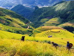 Quảng bá du lịch Việt Nam trên BBC World