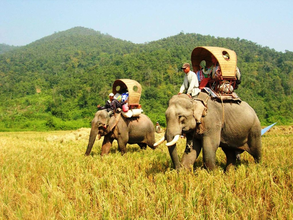 What is the best time to visit Laos