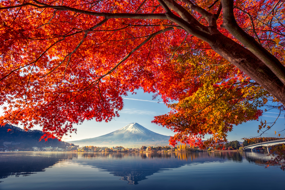 Du lịch mùa thu Nhật Bản - 5 điểm đến ấn tượng nhất