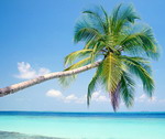 Maldives - Thiên đường xa hoa