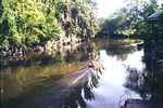 “Thám hiểm” rừng nhiệt đới Mulu - Malaysia