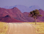 Vẻ đẹp hoang dã ở Namibia 