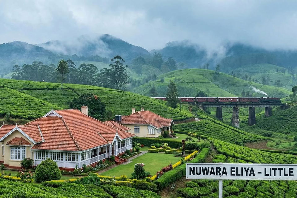 Nuwara Eliya - Hành trình khám phá viên ngọc xanh giữa cao nguyên Sri Lanka