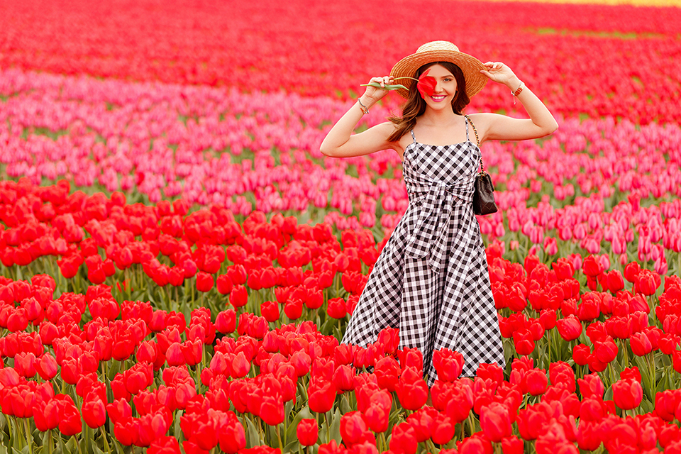 Du lịch châu Âu, Hoa Kỳ chiêm ngưỡng sắc hoa đào, hoa tulip