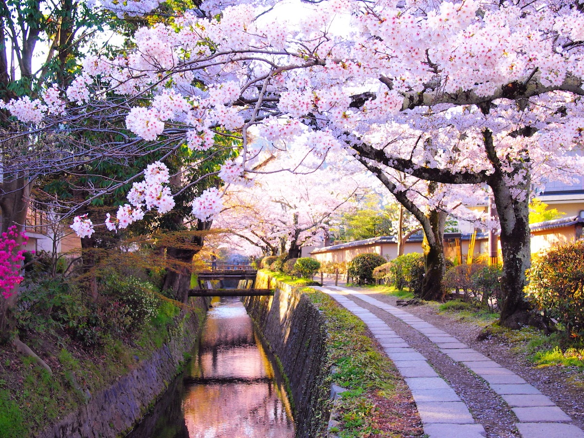 10 Top Tourist Attractions in Kyoto