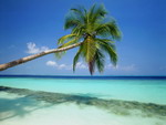 Du lịch “bụi” ở Maldives