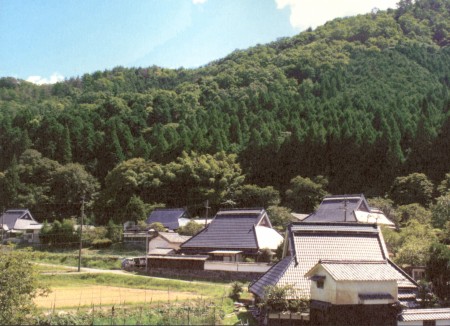 Maruyama - “làng hấp hối”