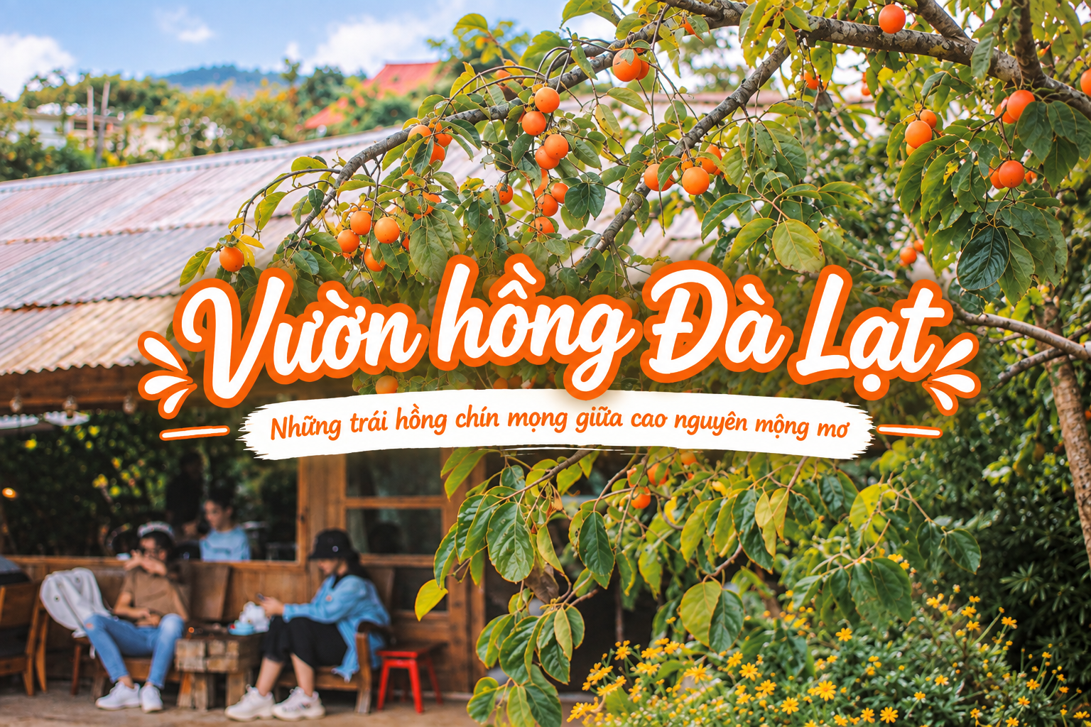 Vườn hồng Đà Lạt: TOP 10 địa điểm đẹp và kinh nghiệm check-in