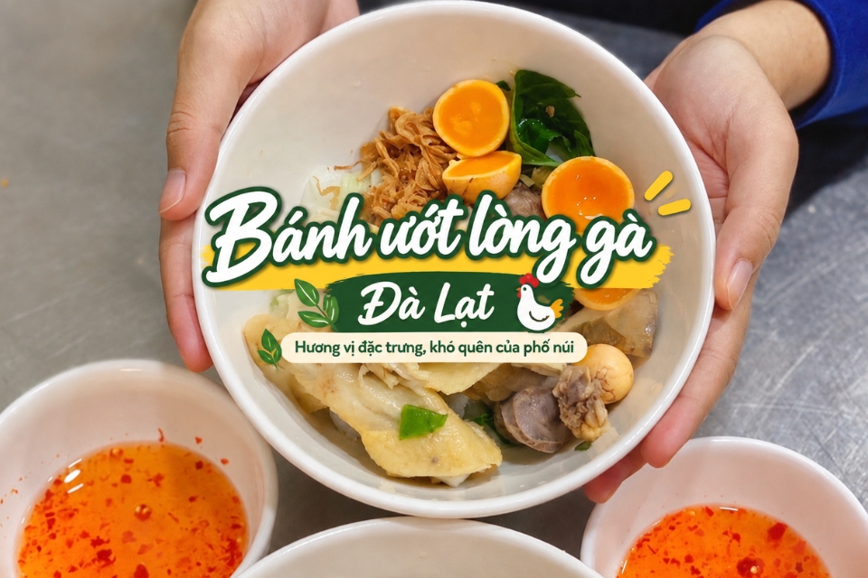 Bánh Ướt Lòng Gà Đà Lạt: Lưu Ngay Địa Chỉ Top 15 Quán Ngon