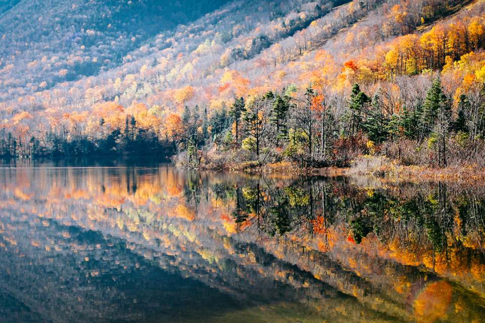 Lá vàng mùa thu đẹp ngỡ ngàng tại các khu vườn quốc gia Mỹ