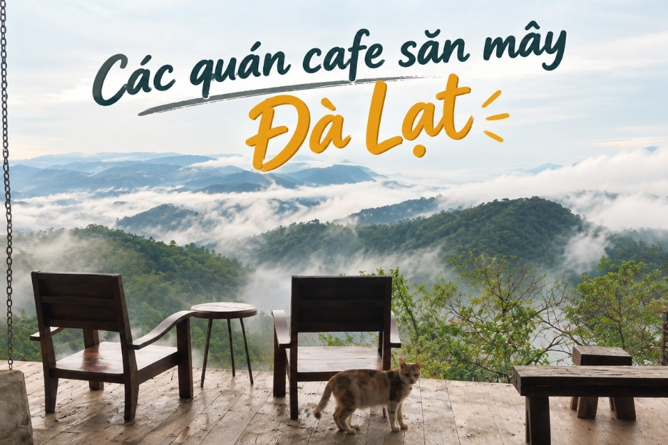 17+ Quán cafe săn mây Đà Lạt ngắm bình minh triệu view