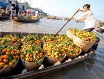 LENDING WINGS TO MEKONG DELTA TOURISM