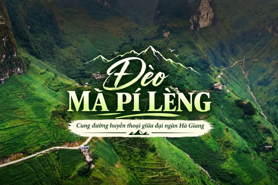 Đèo Mã Pí Lèng: Kinh nghiệm khám phá “Tứ Đại Đỉnh Đèo” Việt Nam