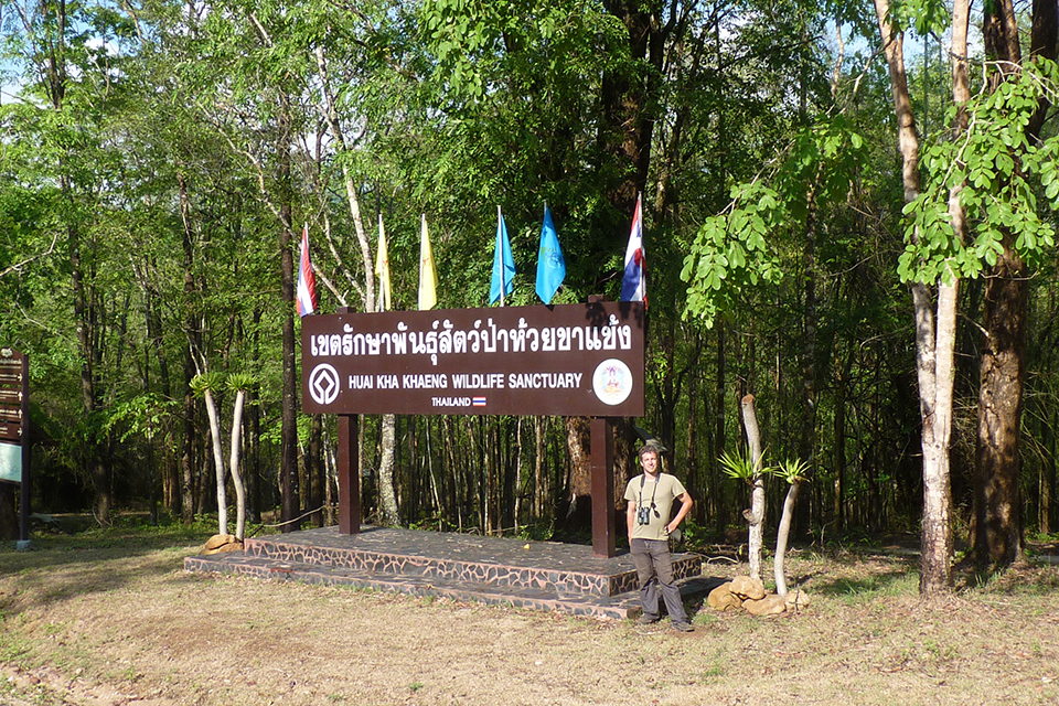 Khu bảo tồn động vật hoang dã ThungYai – Viên ngọc Di sản Thiên nhiên ở Thái Lan