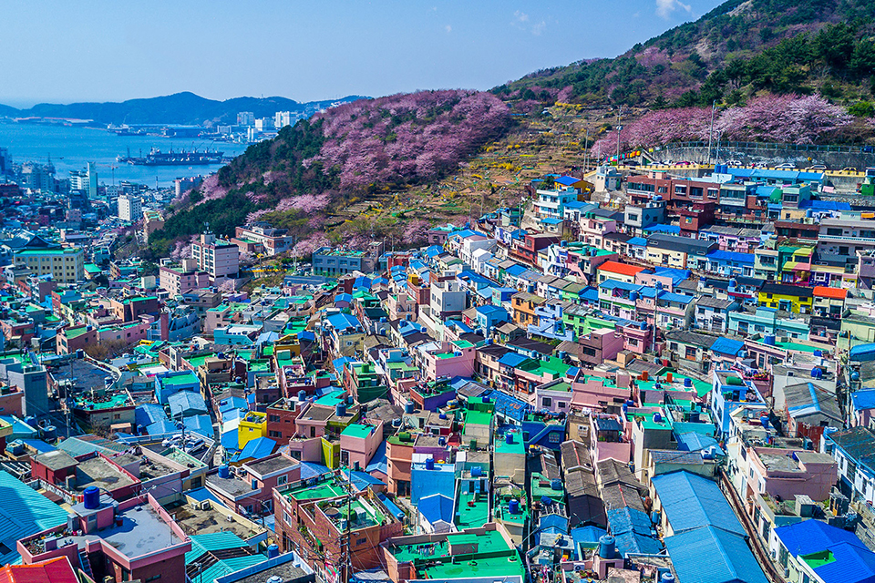 Busan Hàn Quốc có gì đẹp? 5 điểm đến nổi tiếng tại Busan nhất định phải khám phá